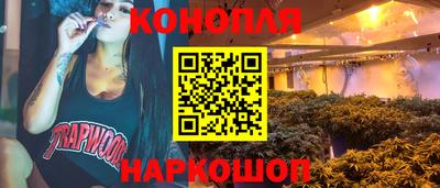 бошки Гагарин