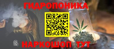 бошки Гагарин