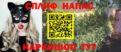 ГАЛЛЮЦИНОГЕННЫЕ ГРИБЫ Гай