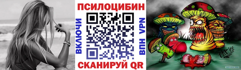 Псилоцибиновые грибы Magic Shrooms  где можно купить наркотик  MEGA вход  Дятьково 