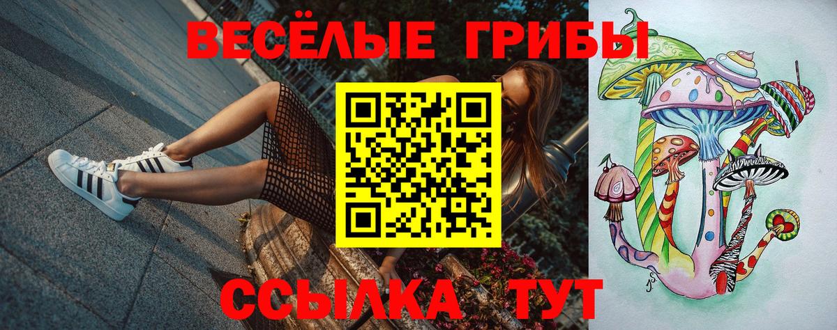 Галлюциногенные грибы Magic Shrooms Дятьково