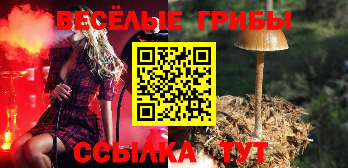 Галлюциногенные грибы Magic Shrooms  Псилоцибиновые грибы GOLDEN TEACHER  Дятьково  Вход с VPN 